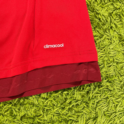 Adidas FC Bayern München Costa Trikot rot Größe M  2014 2015