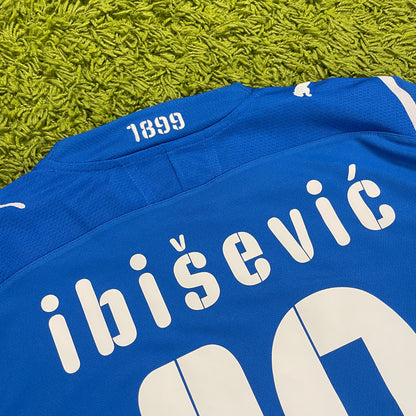 Puma TSG Hoffenheim 1899 Ibisevic Trikot blau Größe L 2009 2010