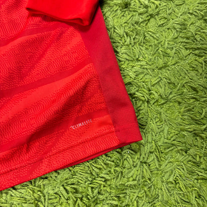 Adidas FC Bayern München Lewandowski Trikot rot Größe L 2018 2019